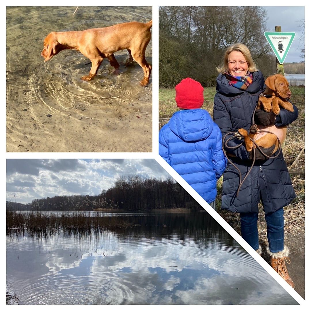 Grunewaldsee
